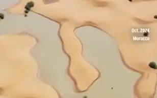 Толассыз жауған нөсер жауыннан кейін Сахара шөлінің бір бөлігін су басты