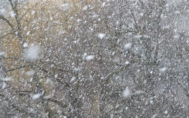 Снежная метель 