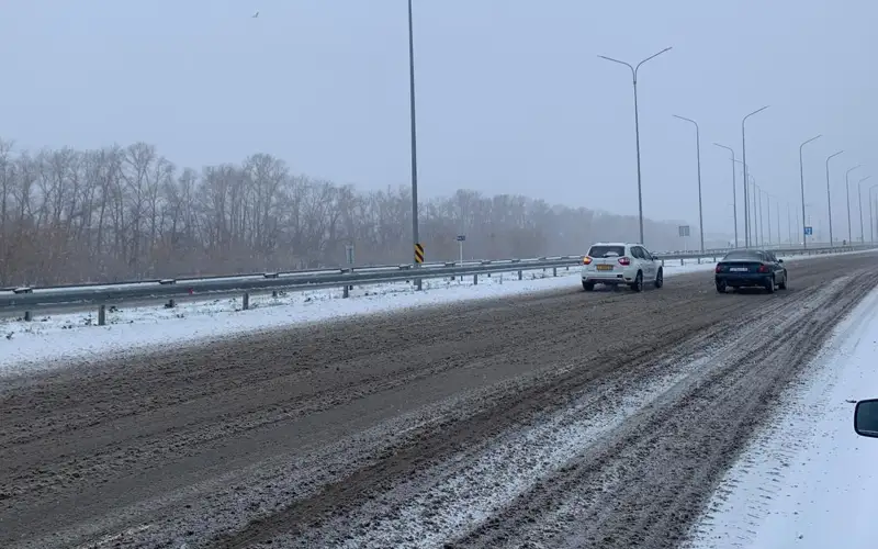 СҚО-да қар жауып, боран соғып тұр