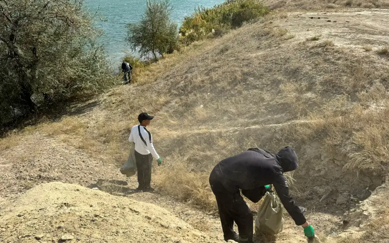 tazalyq