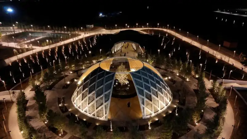 ҳаёт дарахти