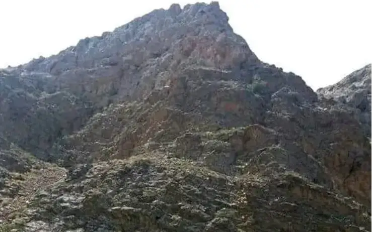 Qatynqamal