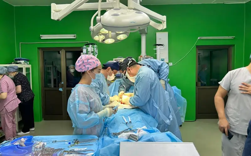 búırek transplantatsııa