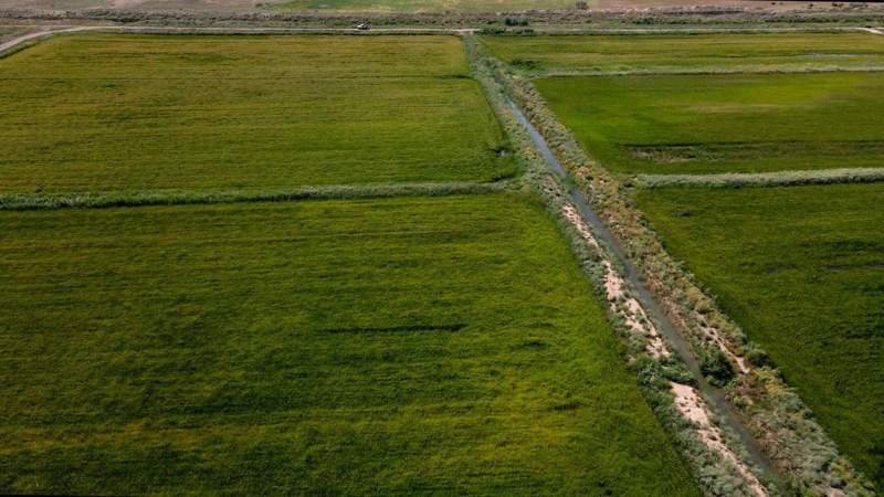 全国灌溉季圆满收官：政府有效应对水资源挑战