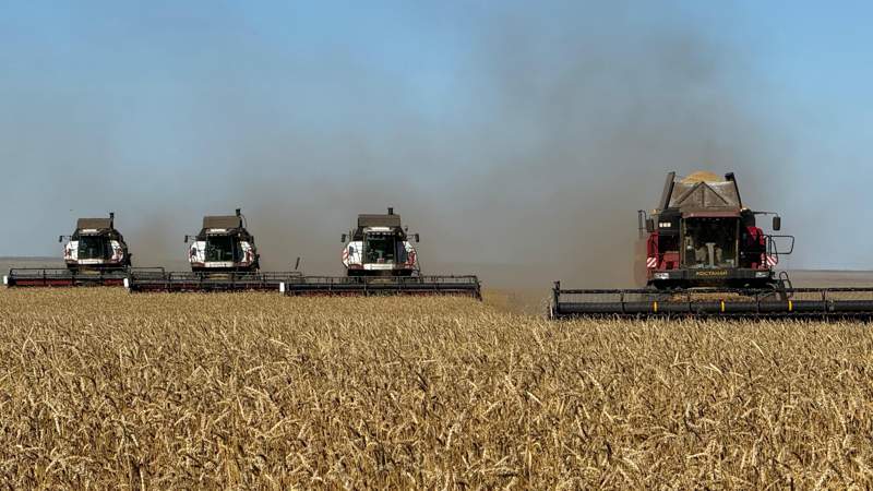 как прошла уборка урожая в Костанайской области