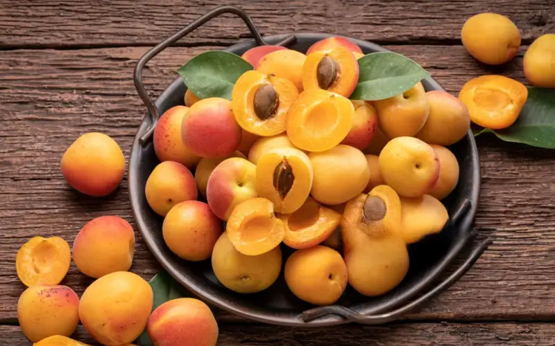 Ўзбекистон Қозоғистонга 8,1 минг тонна ўрик экспорт қилган