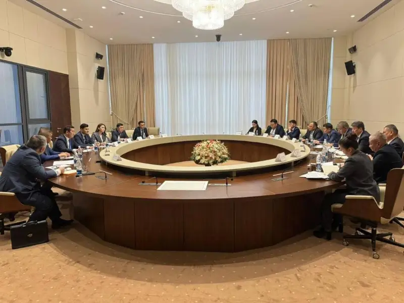 哈吉农业合作再升级：哈萨克斯坦将向吉尔吉斯斯坦供应小麦