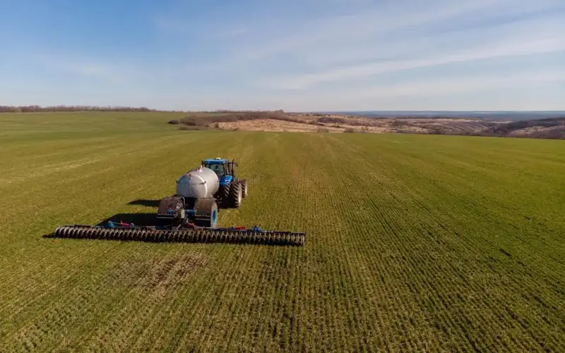 agriculture 