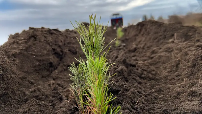 «Ертіс орманы» резерваты