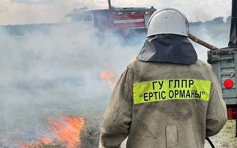 ШҚО-да соңғы үш жылда 117 орман және дала өрті тіркелген