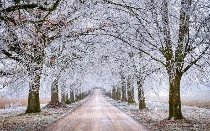 Rain, snow and ice-slick