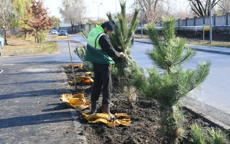 Көгалдандыру