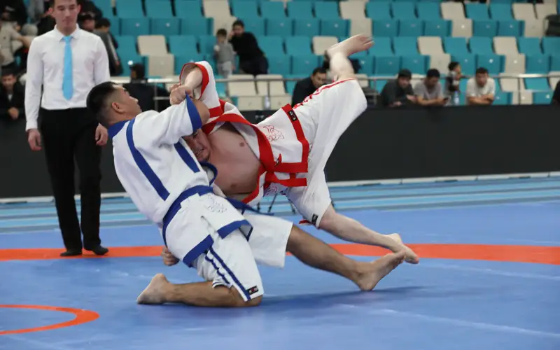 қазақ күресі