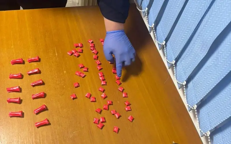 есірткі жасыру