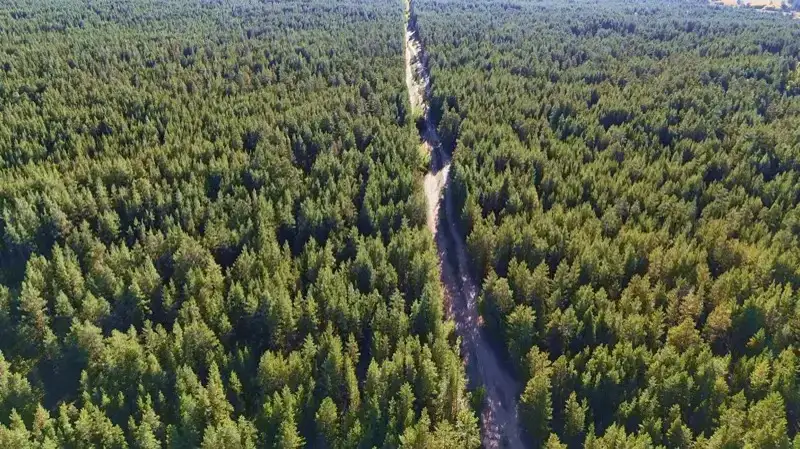 ГЛПР «Ертіс орманы»