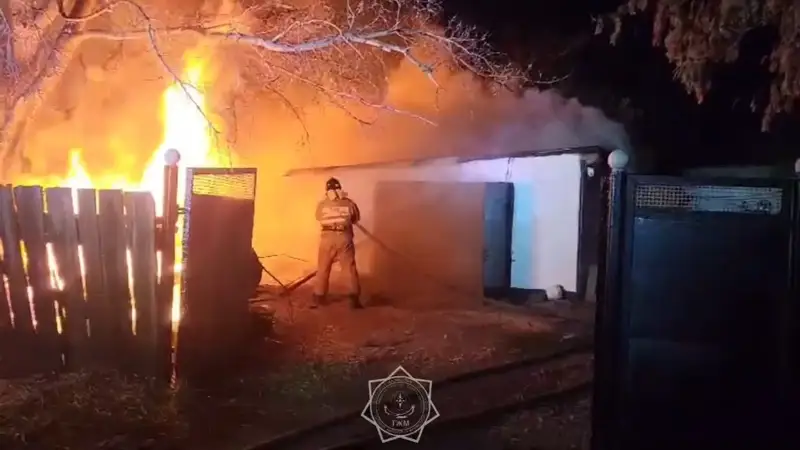 Троих детей эвакуировали спасатели при пожаре в Сарани