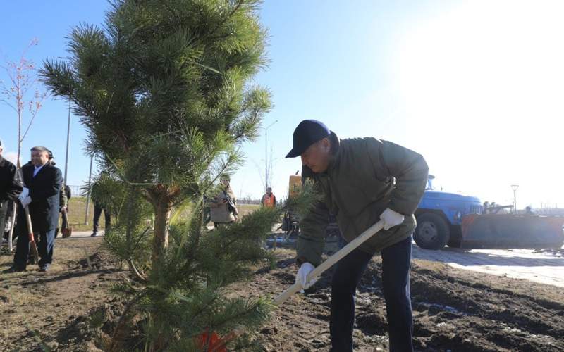 Акция по&nbsp;посадке деревьев прошла в&nbsp;Кокшетау