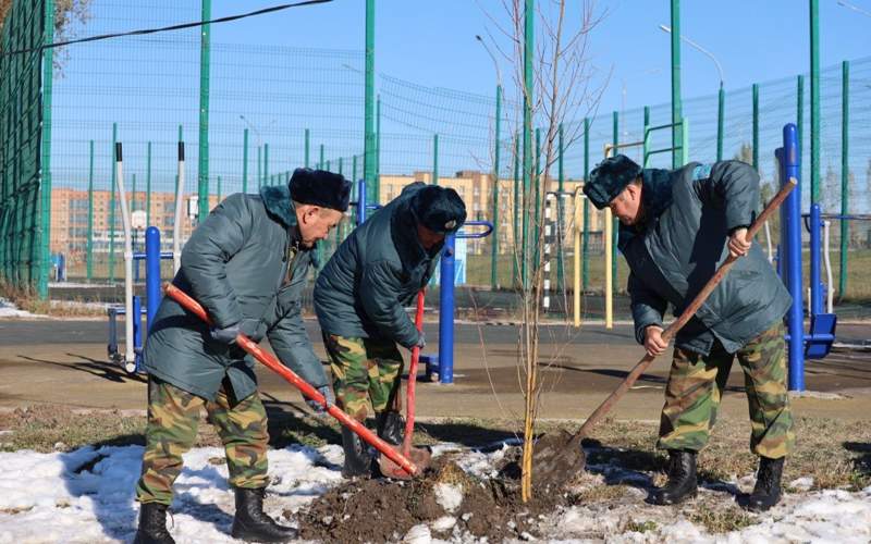 Акция по&nbsp;посадке деревьев прошла в&nbsp;Кокшетау