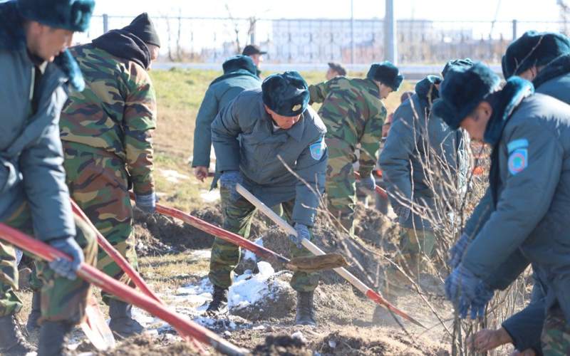 Акция по&nbsp;посадке деревьев прошла в&nbsp;Кокшетау