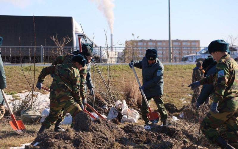 Акция по&nbsp;посадке деревьев прошла в&nbsp;Кокшетау