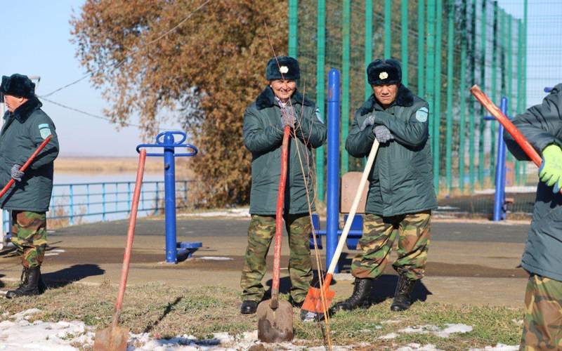 Акция по&nbsp;посадке деревьев прошла в&nbsp;Кокшетау