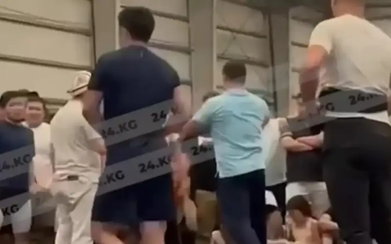 Видеодан кадр