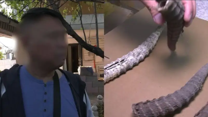 АҚБӨКЕН МҮЙІЗІ