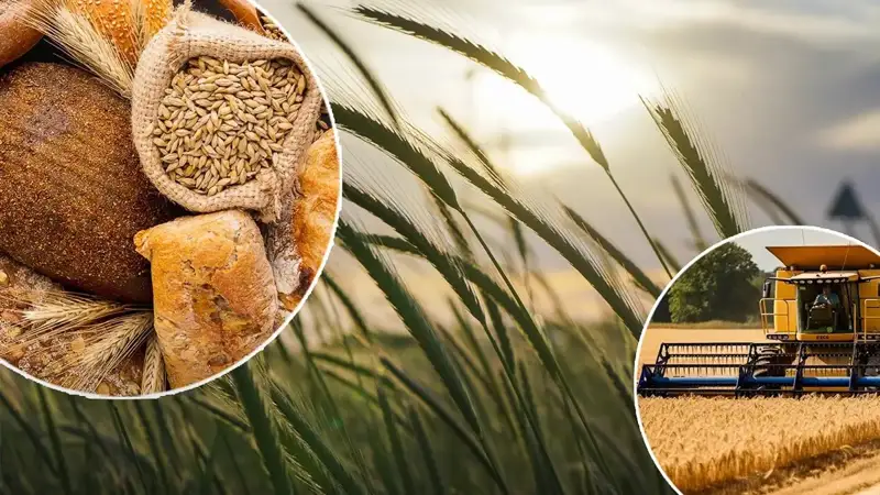 Қозоғистонда баҳорги экиш кампаниясини молиялаштириш жорий йилнинг 1 декабридан бошланади