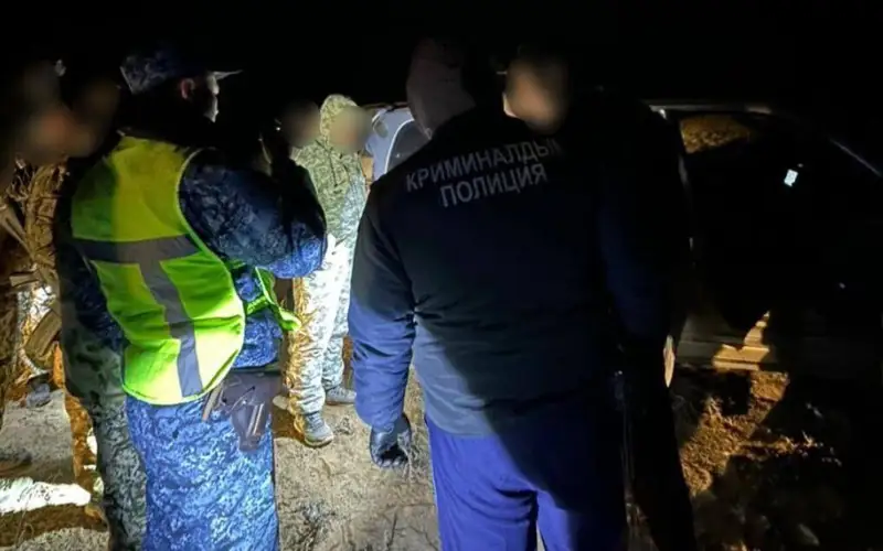 Браконьеров с 16 тушами сайгаков задержали в Туркестанской области 