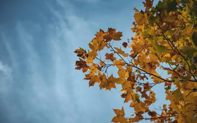 погода, осень