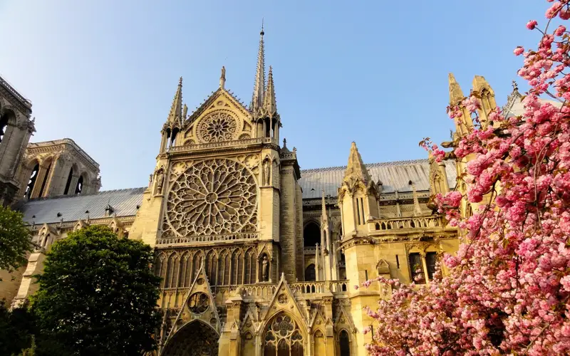   собор парижской богоматери