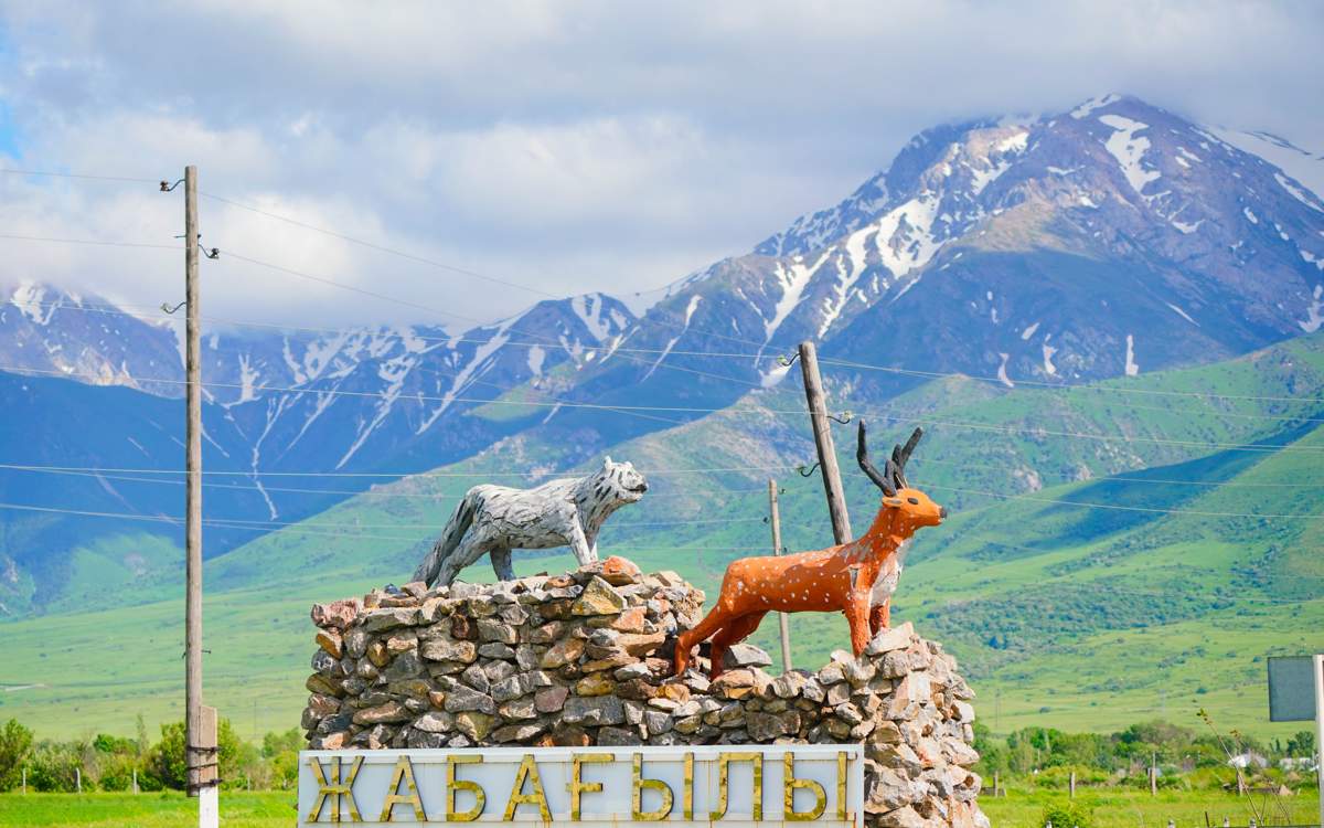 Ақсу-Жабағылы қорығының 100 жылдығына орай 1000 түп ағаш егілді