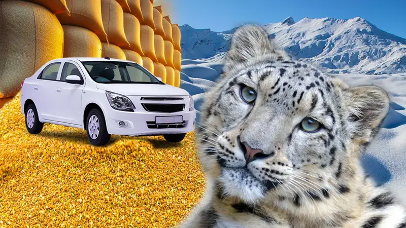 что пишут мировые СМИ о Казахстане