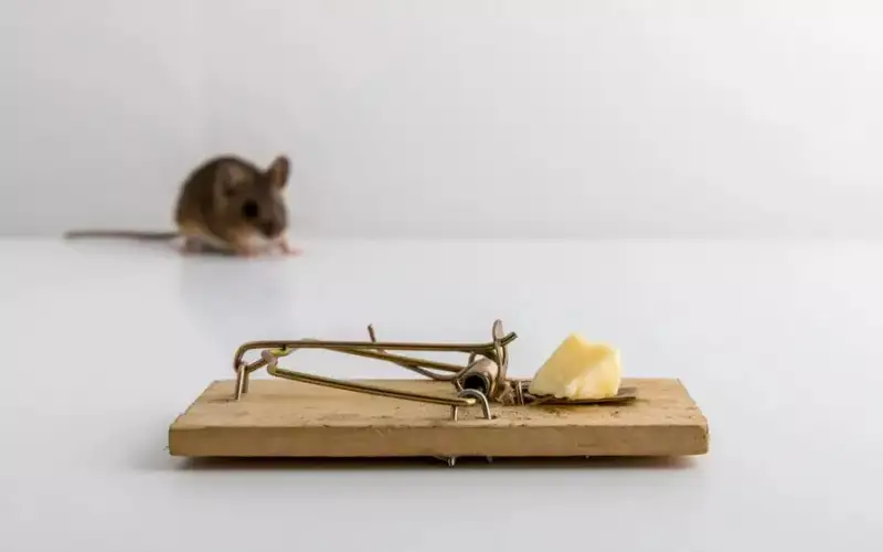 Фото: depositphotos.com