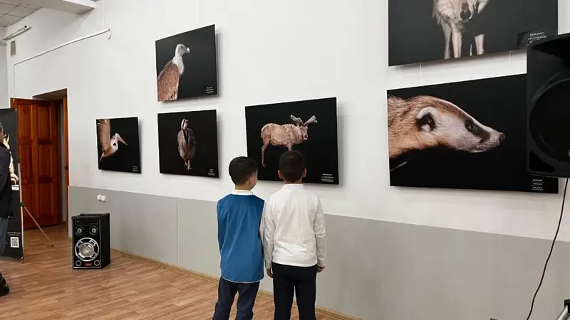 Wildlife of Kazakhstan