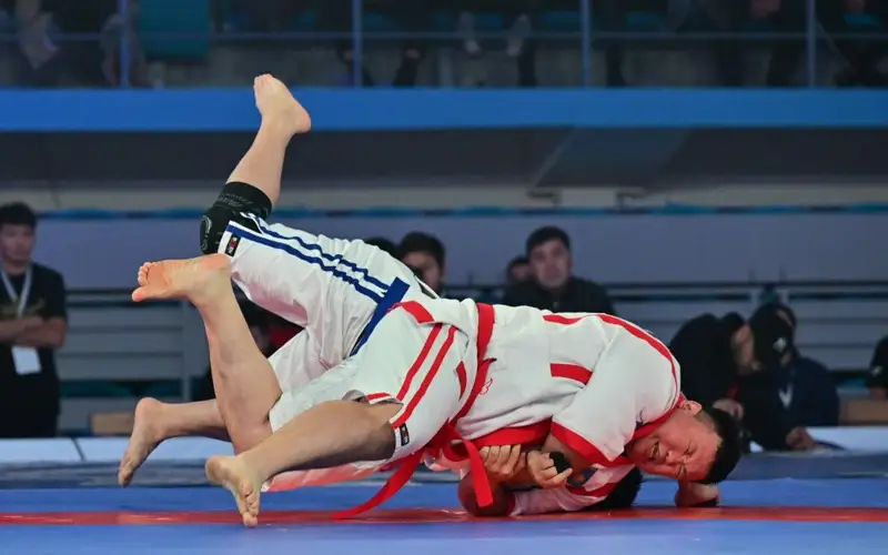 Qazaqstan barysy