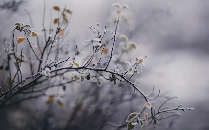 Kazakhstan weather forecast for Oct 26