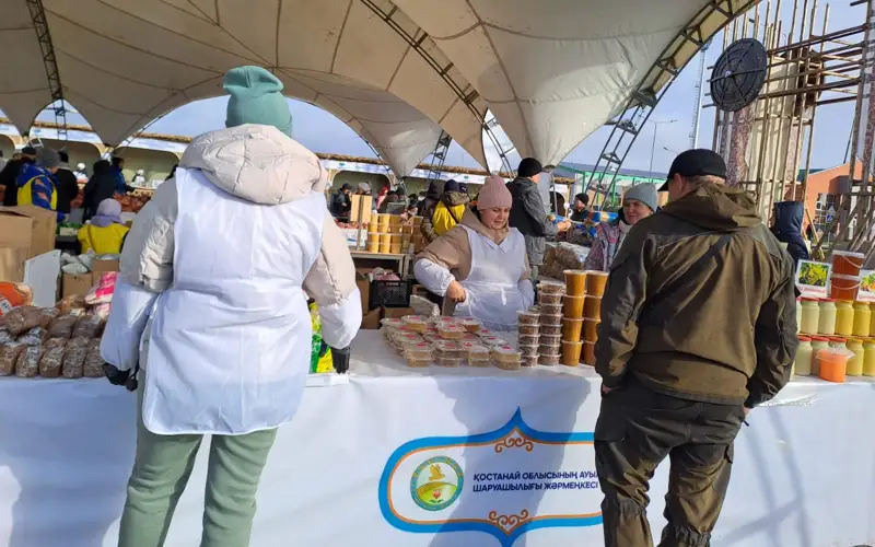 костанайцы на ярмарке в Астане 