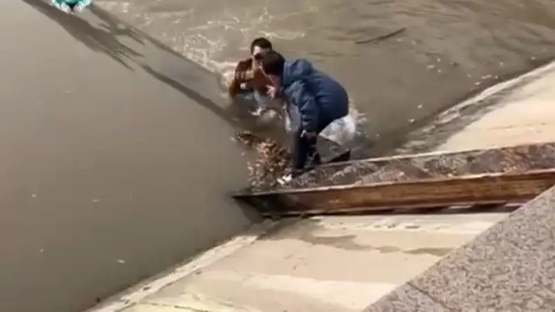 Баланы құтқарды