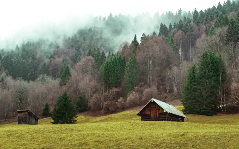село, дом, лес