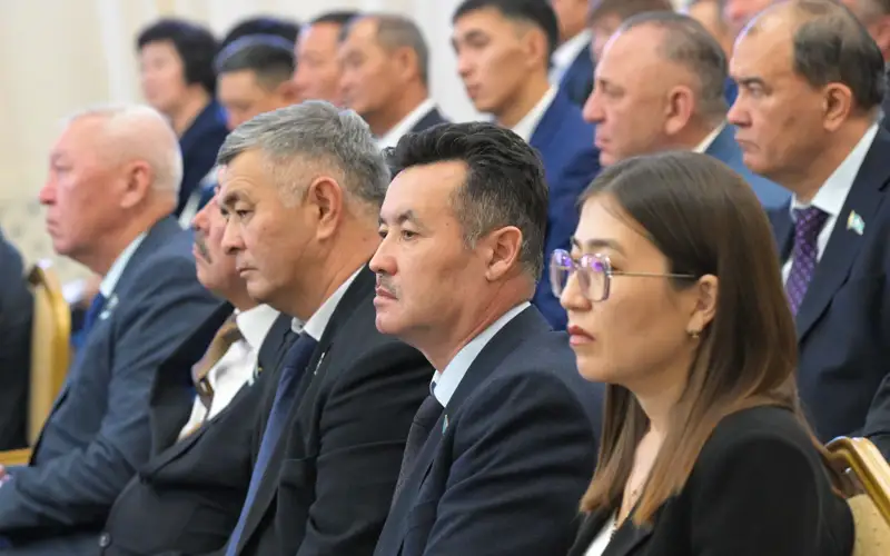 Pavlodar oblysynda keler jyly 33 aýyldyń ákimi saılanady