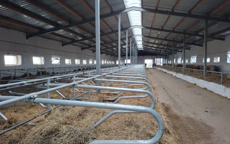 молочно-товарные фермы