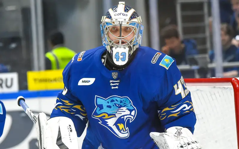 Barys