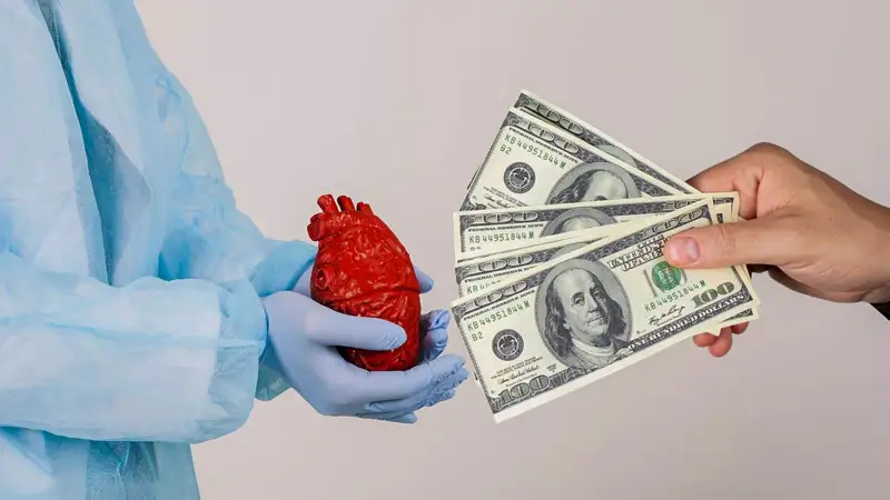 рынок донорства