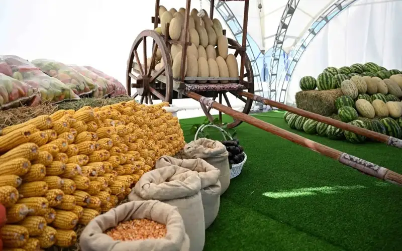 Қозоғистоннинг қишлоқ хўжалиги маҳсулотлари дунёнинг 80 дан ортиқ давлатига экспорт қилинмоқда –  Президент