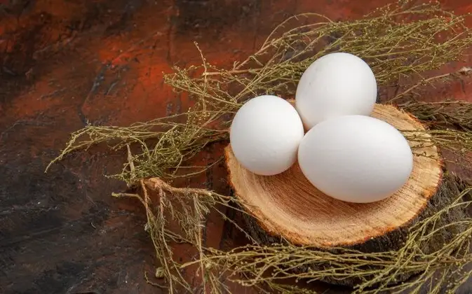  Алматыда жұмыртқаның шекті бағасы бекітілді