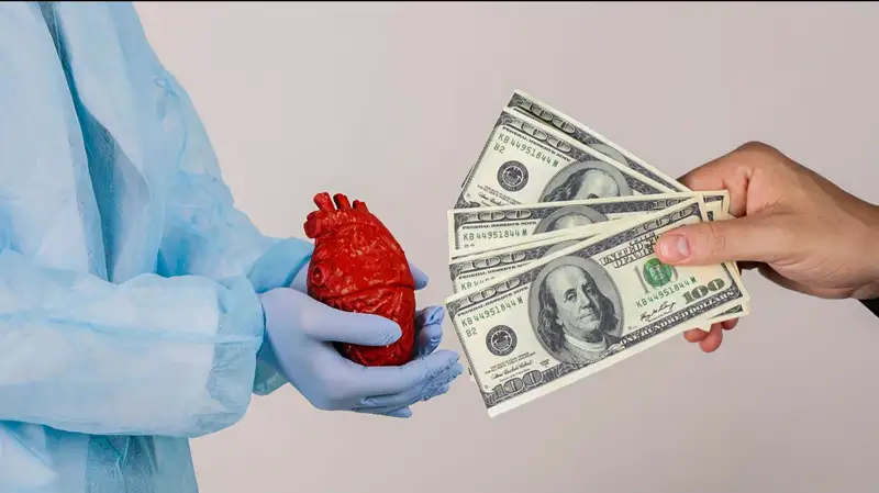 рынок донорства