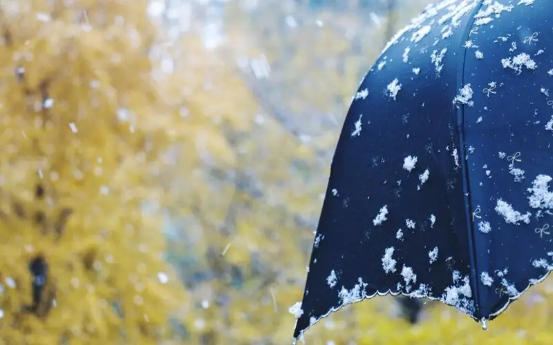 погода в ноябре