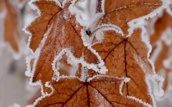 Көктайғақ, боран: 2 қарашаға арналған ауа райы болжамы