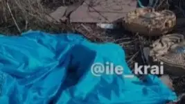 memlekettik rámiz